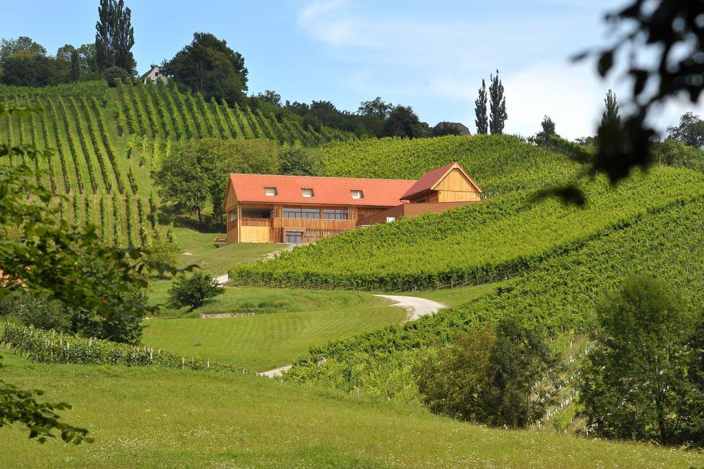 Vino Valdhuber Apartments Svecina Luaran gambar