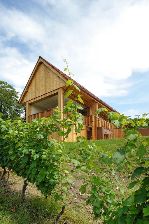 Vino Valdhuber Apartments Svecina Luaran gambar
